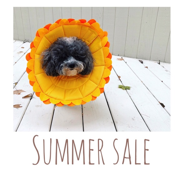 Bundle / Offer - Picture 2 of 2